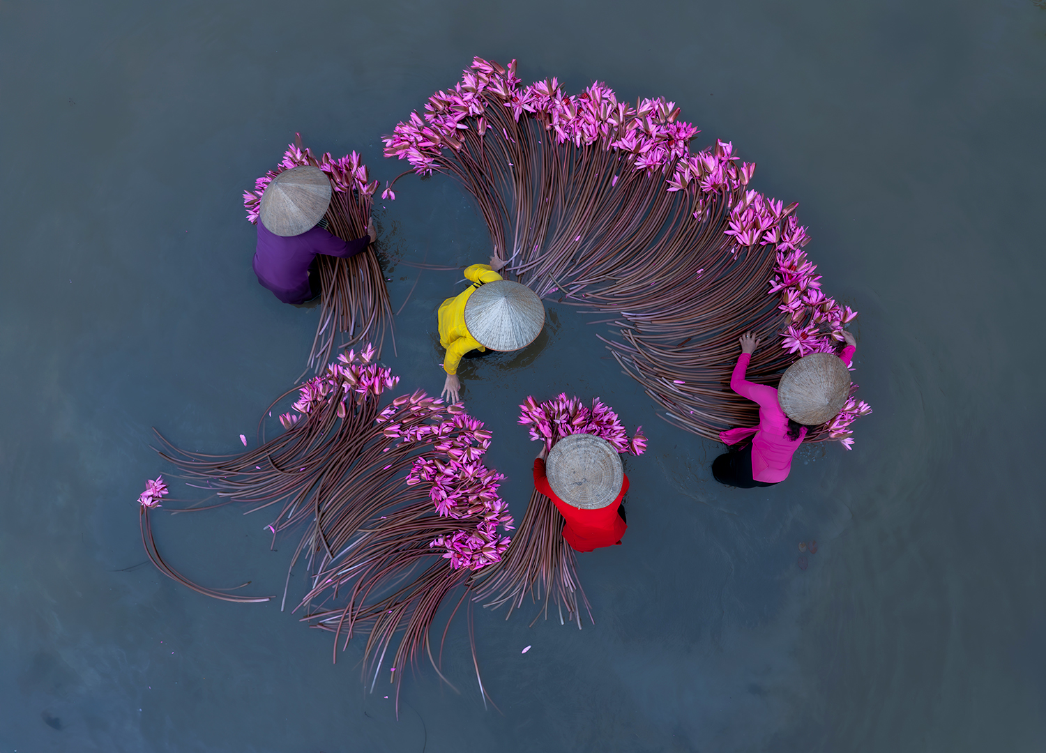 Mohammed Muhtasib (Saudi Arabia) lilies Mekong Delta 4